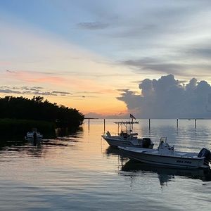 Meet your Posher, Patty